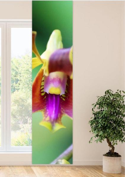 Flächenvorhang Orchideenzeit,  Schiebevorhang, Schiebegardine, modern, 60 cm breit, 2,65 m hoch, 3 m hoch